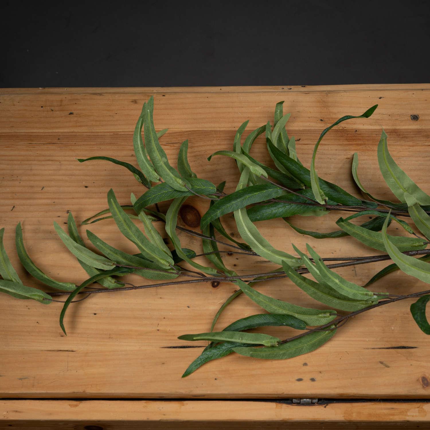 Eucalyptus Nicholii Spray - Eudemonia Home Goods