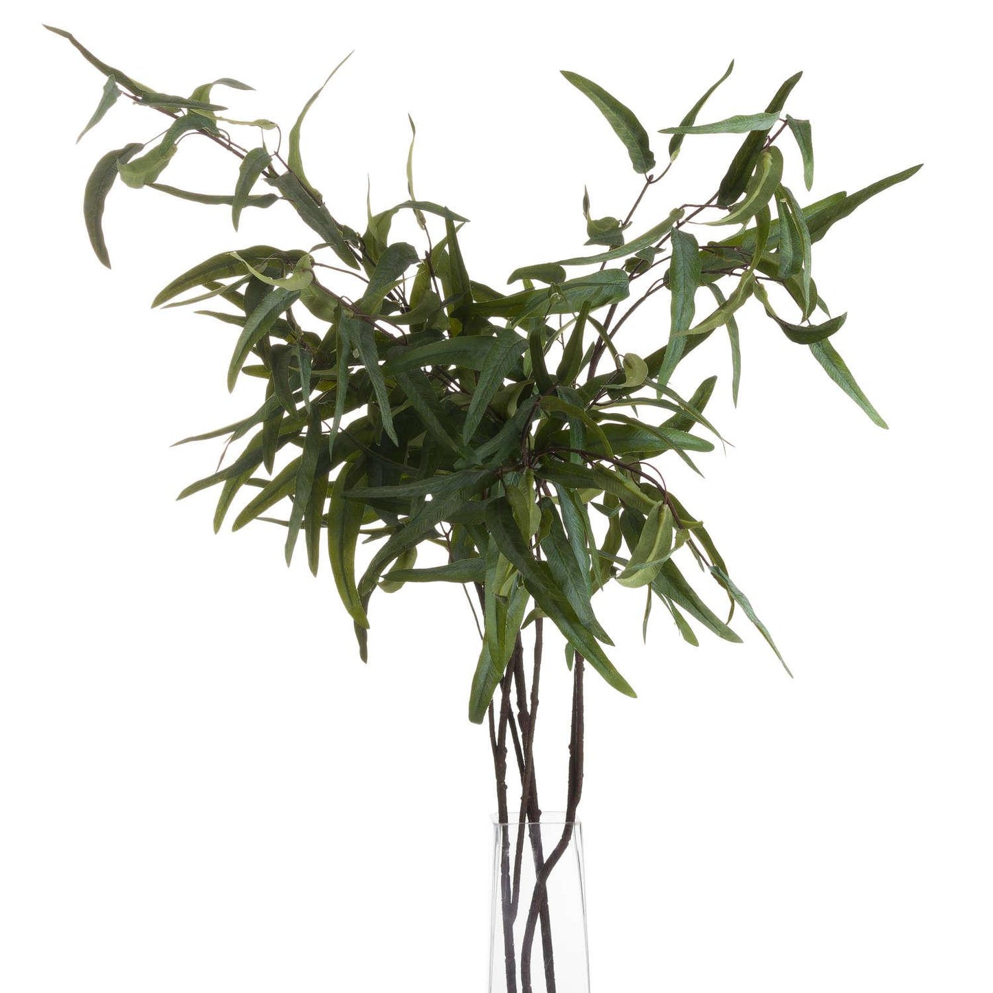 Eucalyptus Nicholii Spray - Eudemonia Home Goods
