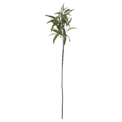 Eucalyptus Nicholii Spray - Eudemonia Home Goods