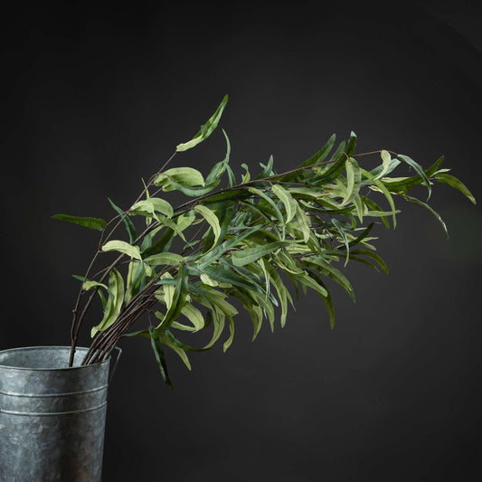 Eucalyptus Nicholii Spray - Eudemonia Home Goods