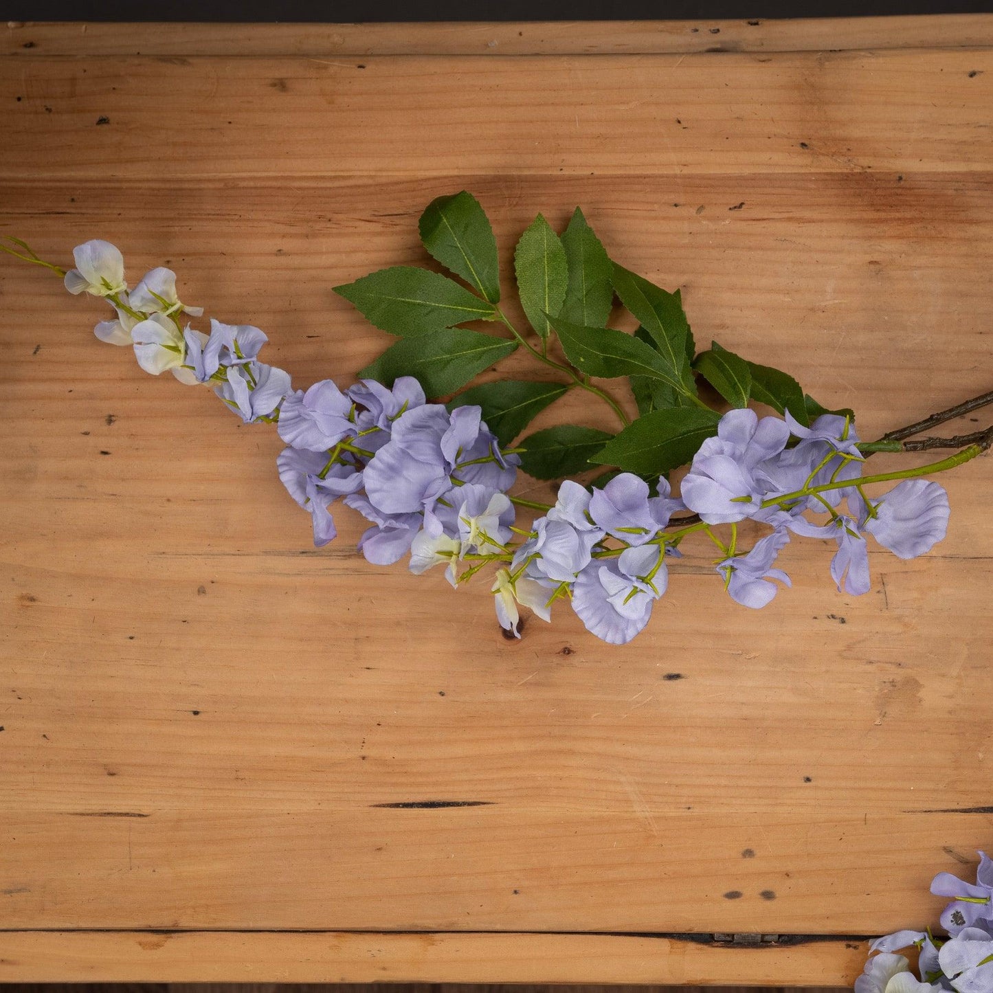 Lilac Wisteria - Eudemonia Home Goods