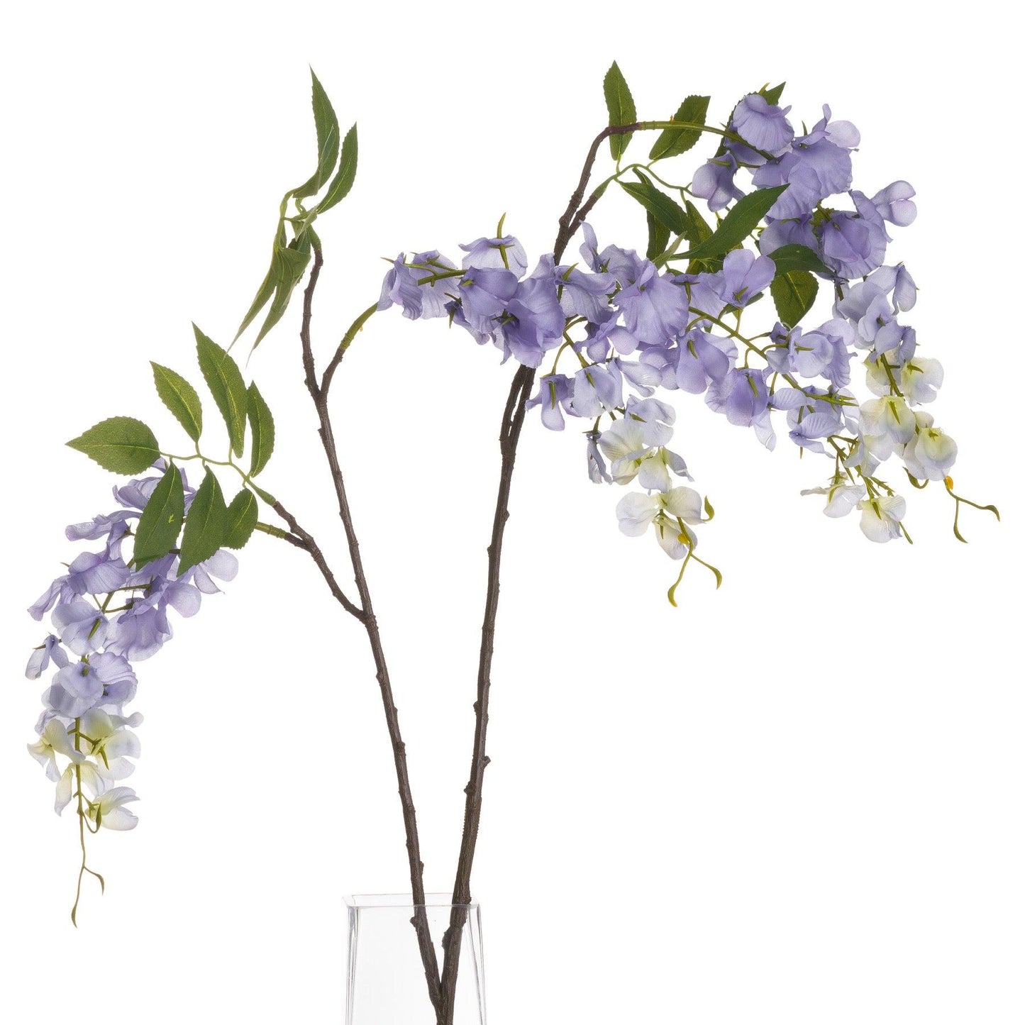 Lilac Wisteria - Eudemonia Home Goods