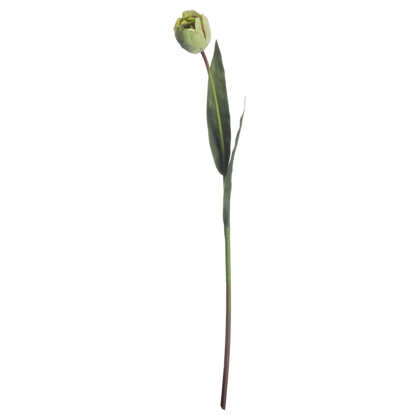 Green Tulip - Eudemonia Home Goods