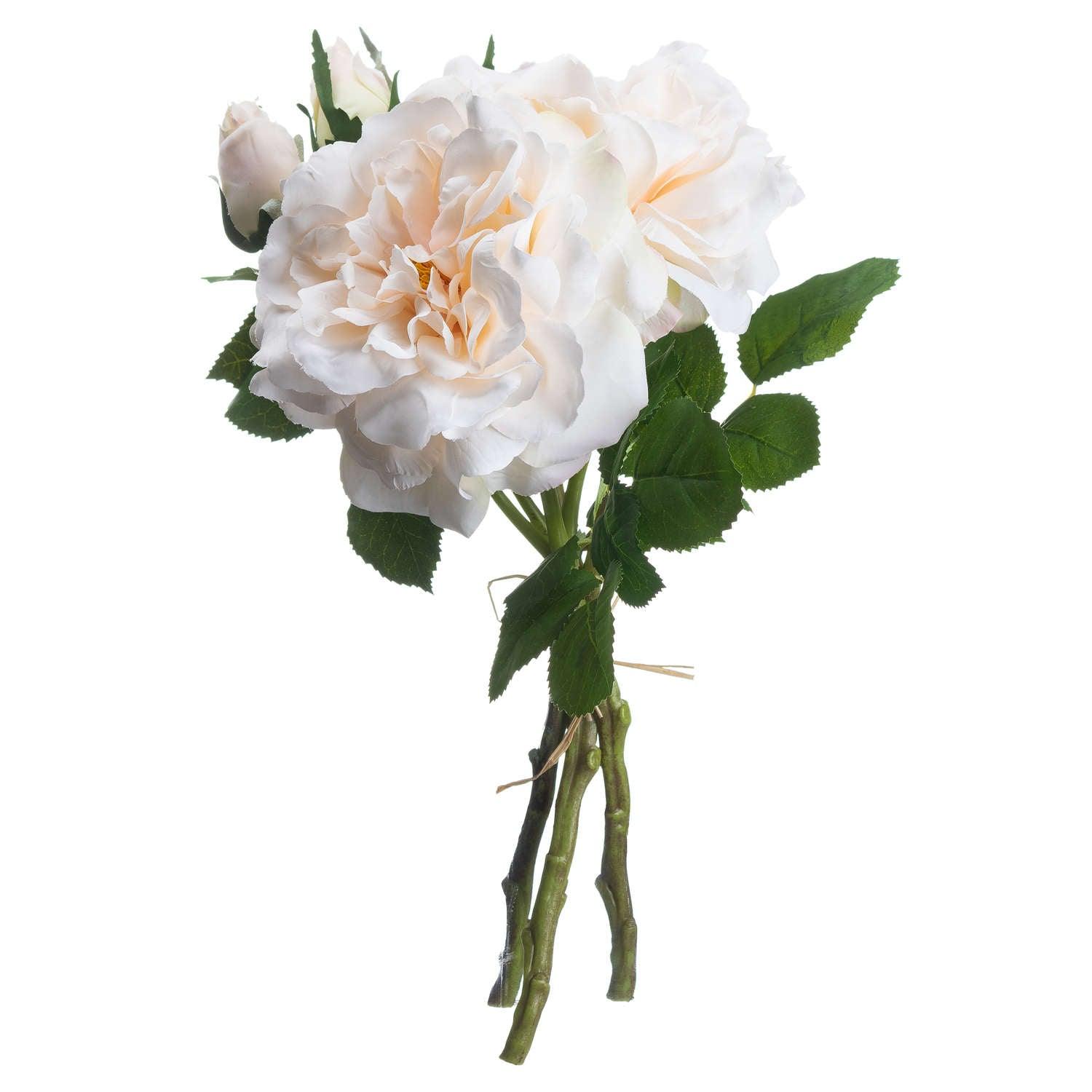 Peachy Cream Short Stem Rose Bouquet - Eudemonia Home Goods