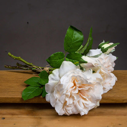 Peachy Cream Short Stem Rose Bouquet - Eudemonia Home Goods