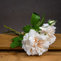Peachy Cream Short Stem Rose Bouquet - Eudemonia Home Goods