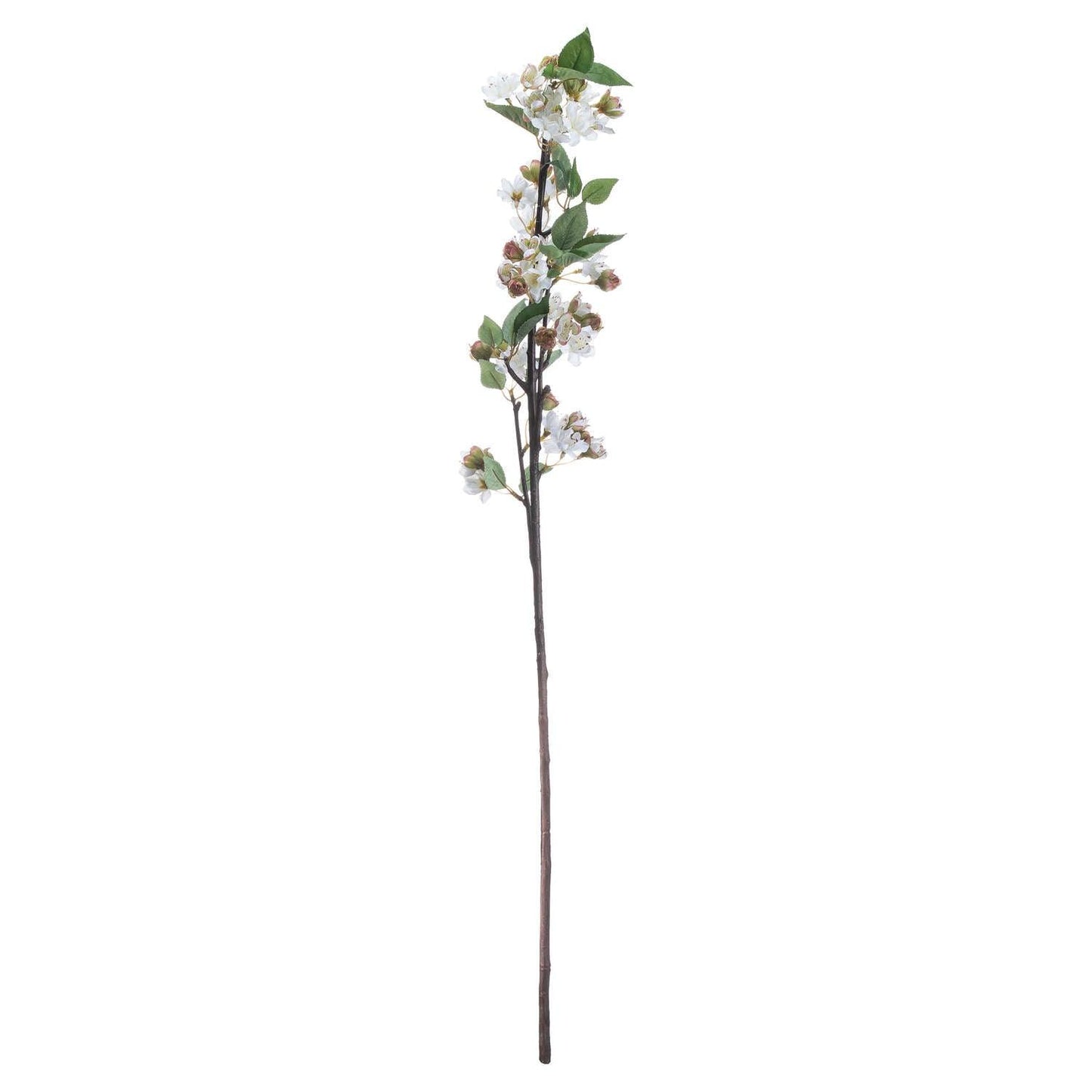 English Blossom Branch - Eudemonia Home Goods
