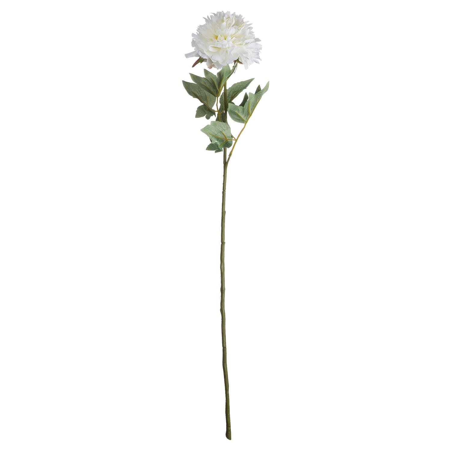 Classic White Peony - Eudemonia Home Goods