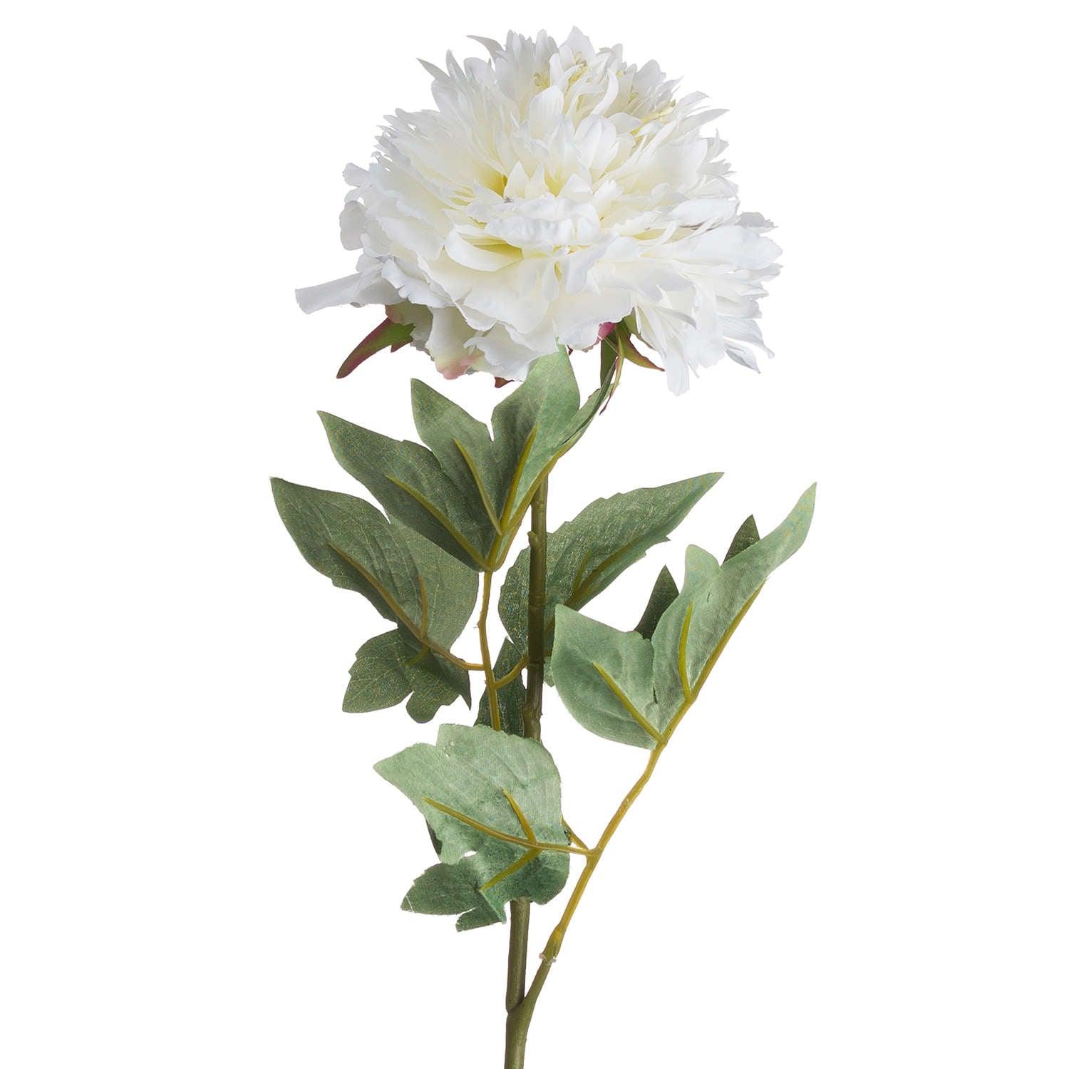 Classic White Peony - Eudemonia Home Goods