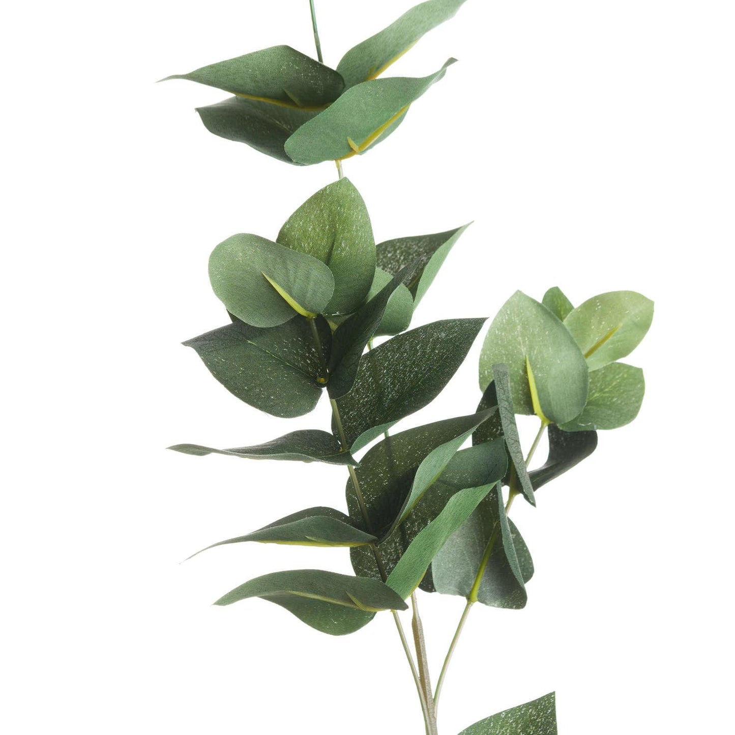 Eucalyptus Filler - Eudemonia Home Goods