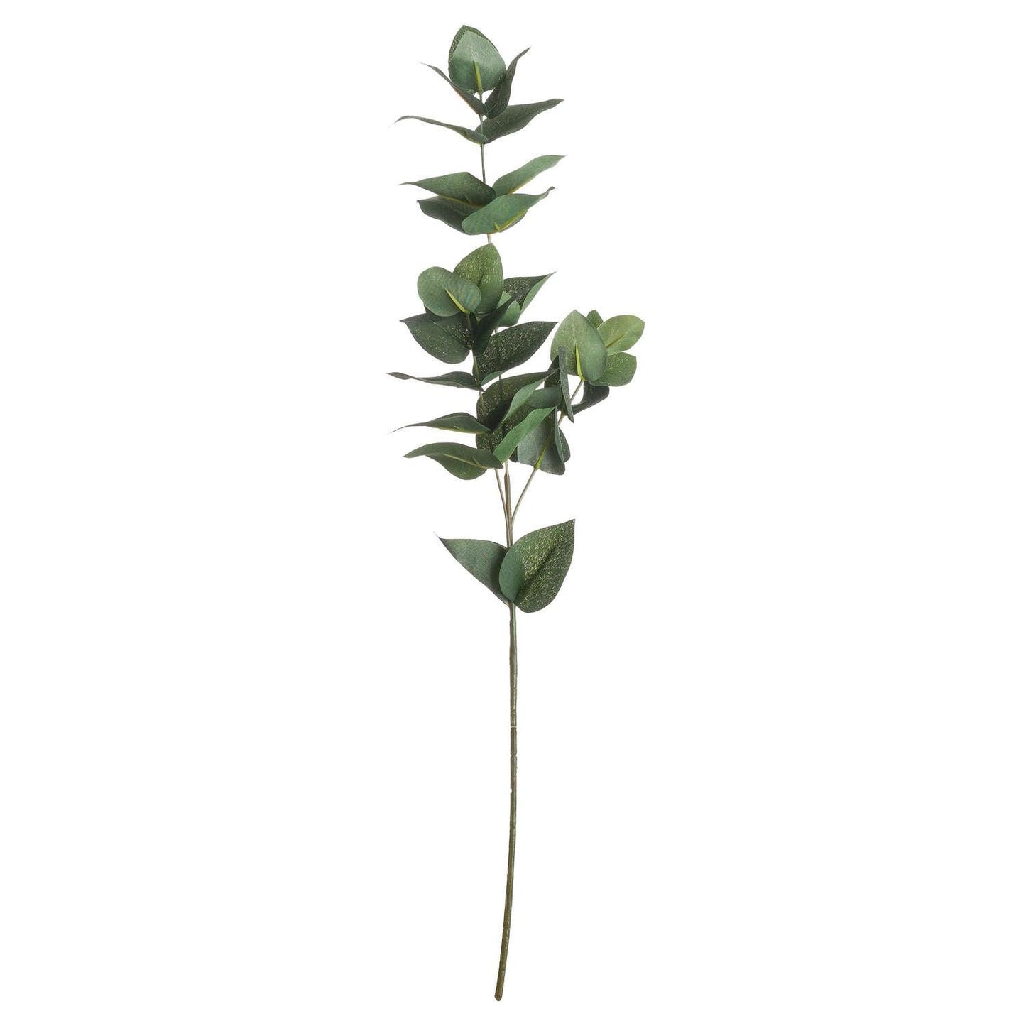 Eucalyptus Filler - Eudemonia Home Goods