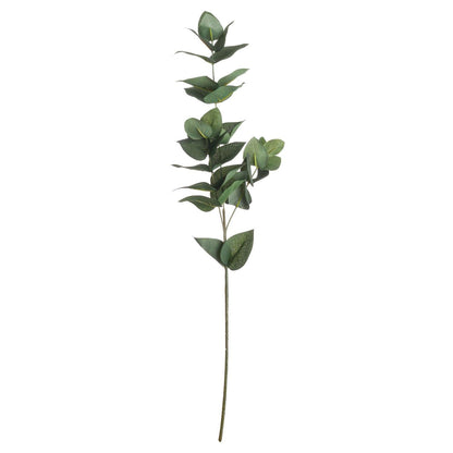 Eucalyptus Filler - Eudemonia Home Goods