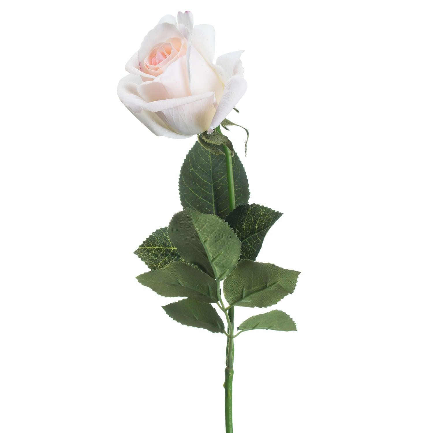 Palest Pink Tea Rose - Eudemonia Home Goods