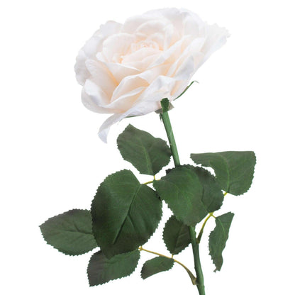 Large White Garden Rose - Eudemonia Home Goods