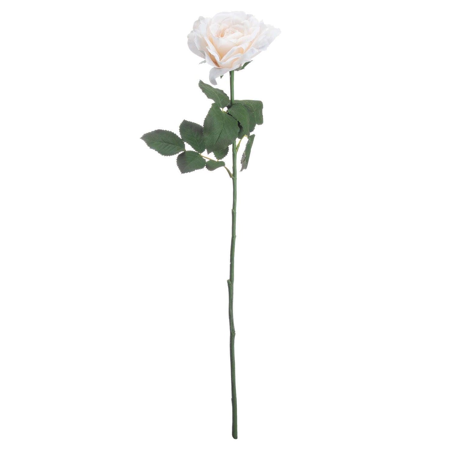 Large White Garden Rose - Eudemonia Home Goods