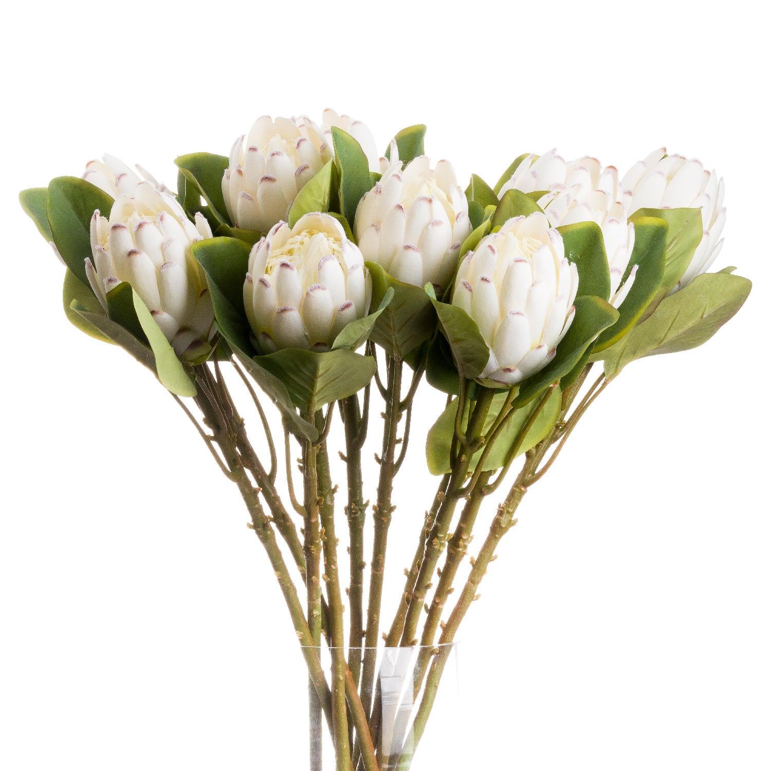 Closed White Protea - Eudemonia Home Goods