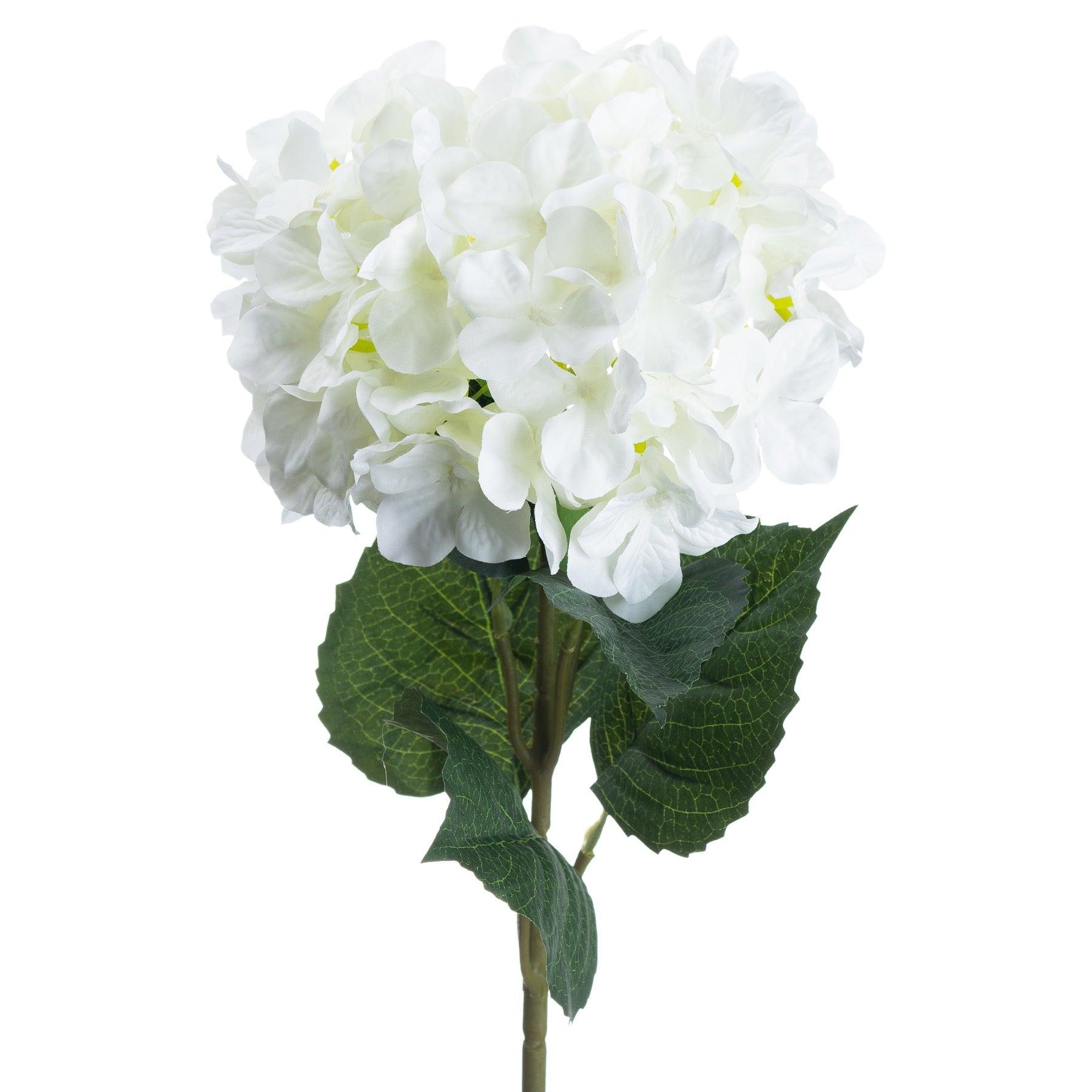Single White Hydrangea - Eudemonia Home Goods