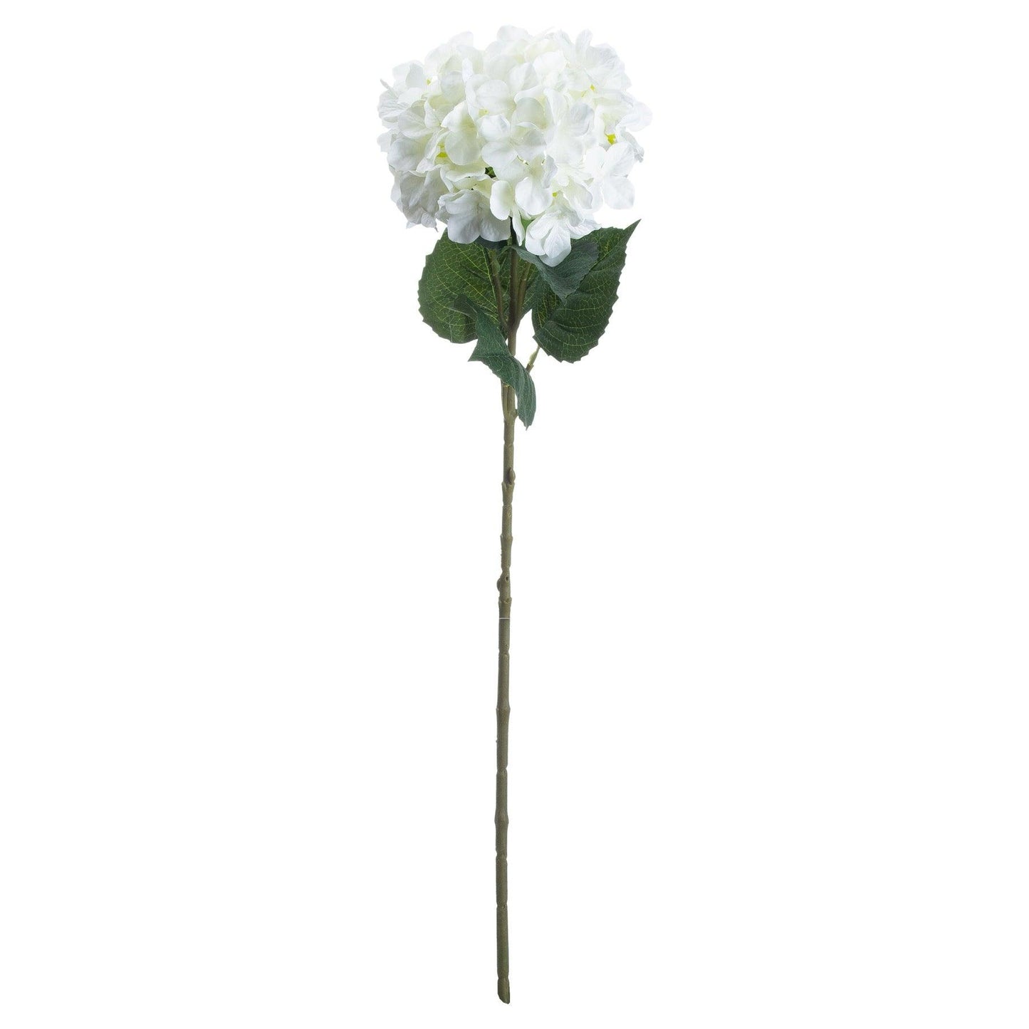 Single White Hydrangea - Eudemonia Home Goods