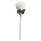 Single White Hydrangea - Eudemonia Home Goods
