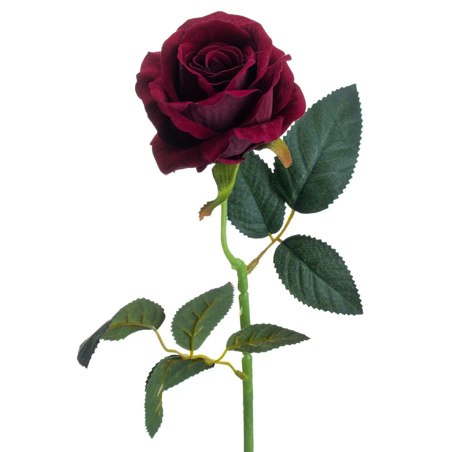 Deep Red Rose - Eudemonia Home Goods