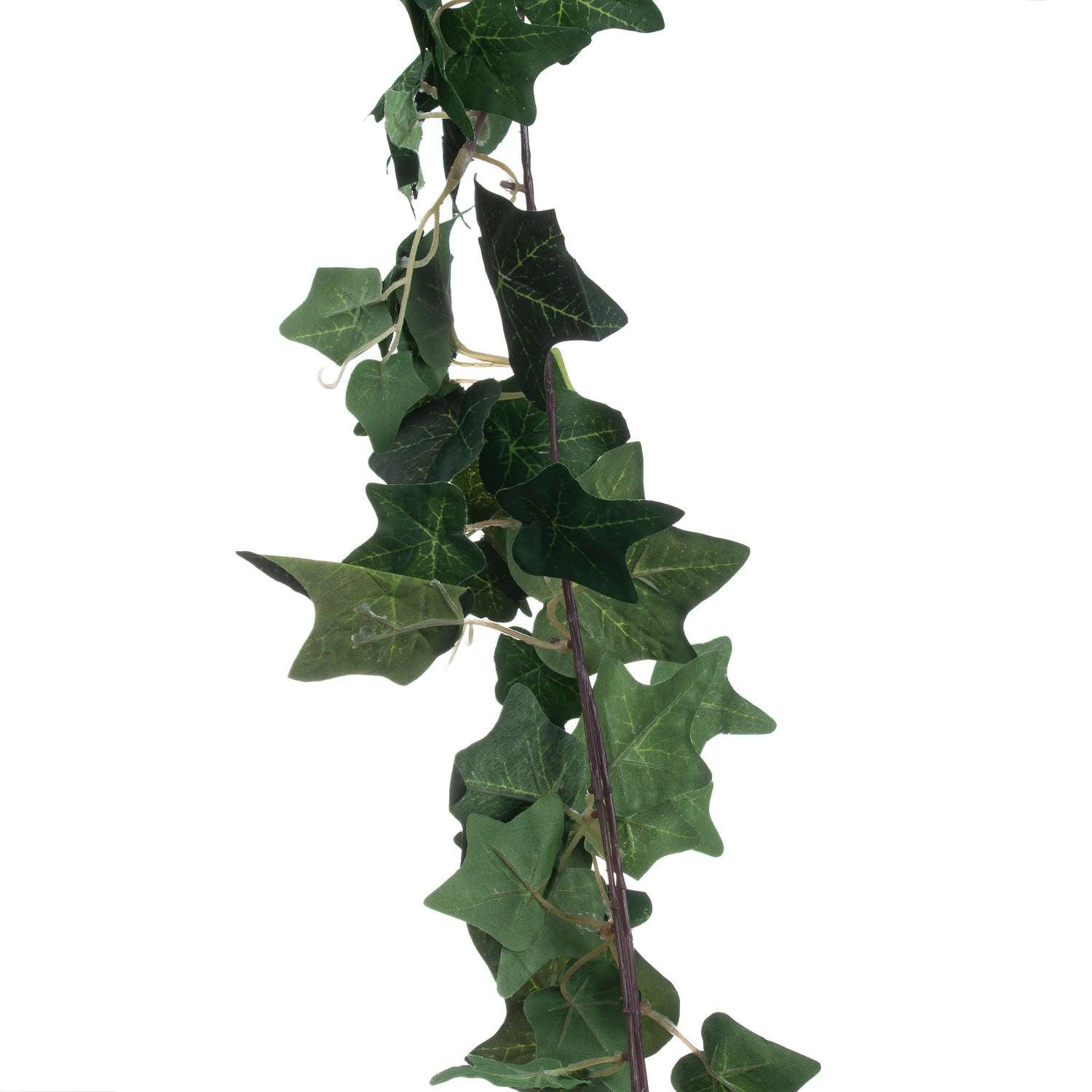 Ivy Garland - Eudemonia Home Goods