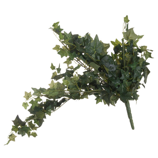 Ivy Pick - Eudemonia Home Goods