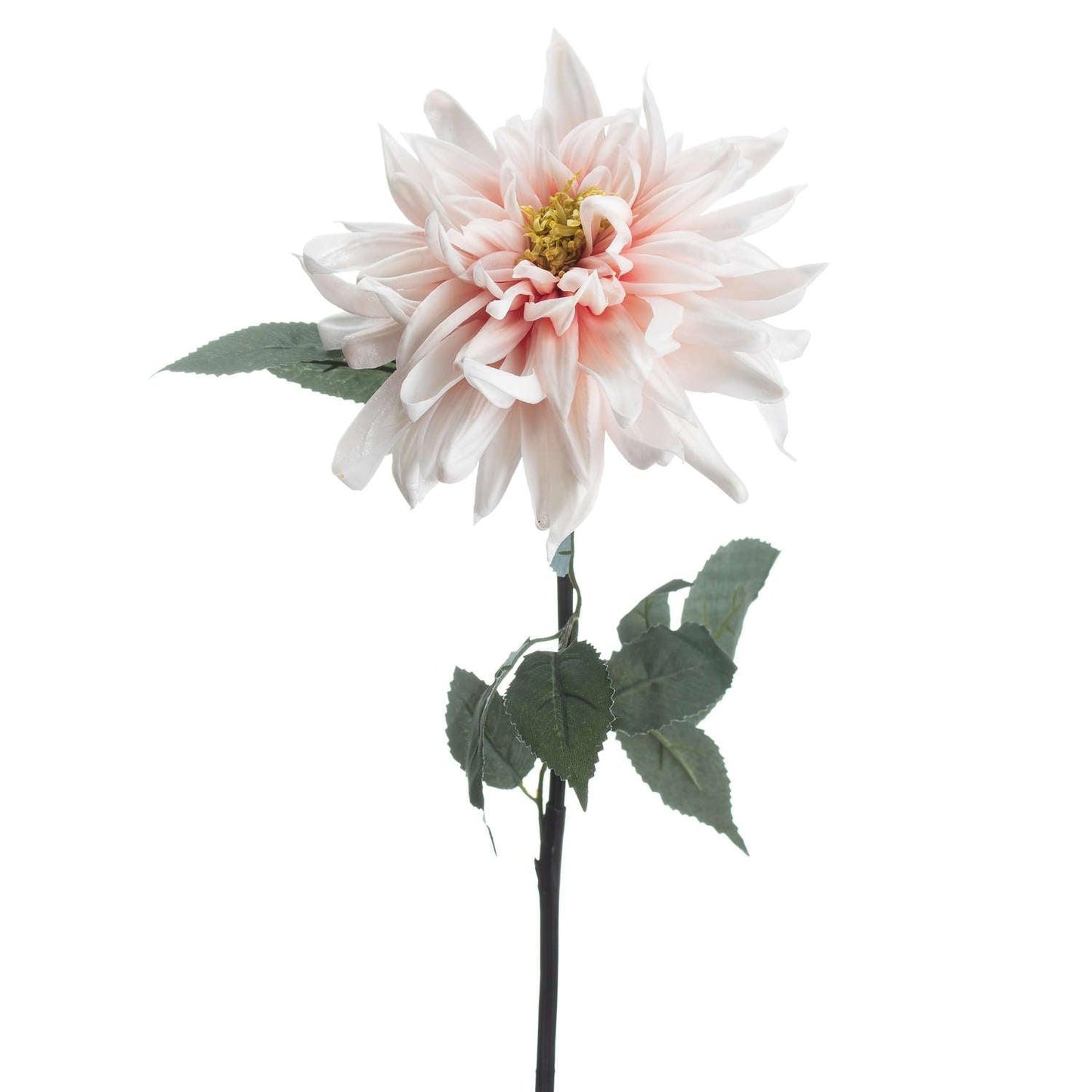 Lush Pink Dahlia - Eudemonia Home Goods