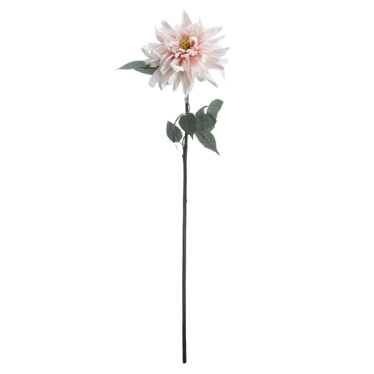 Lush Pink Dahlia - Eudemonia Home Goods