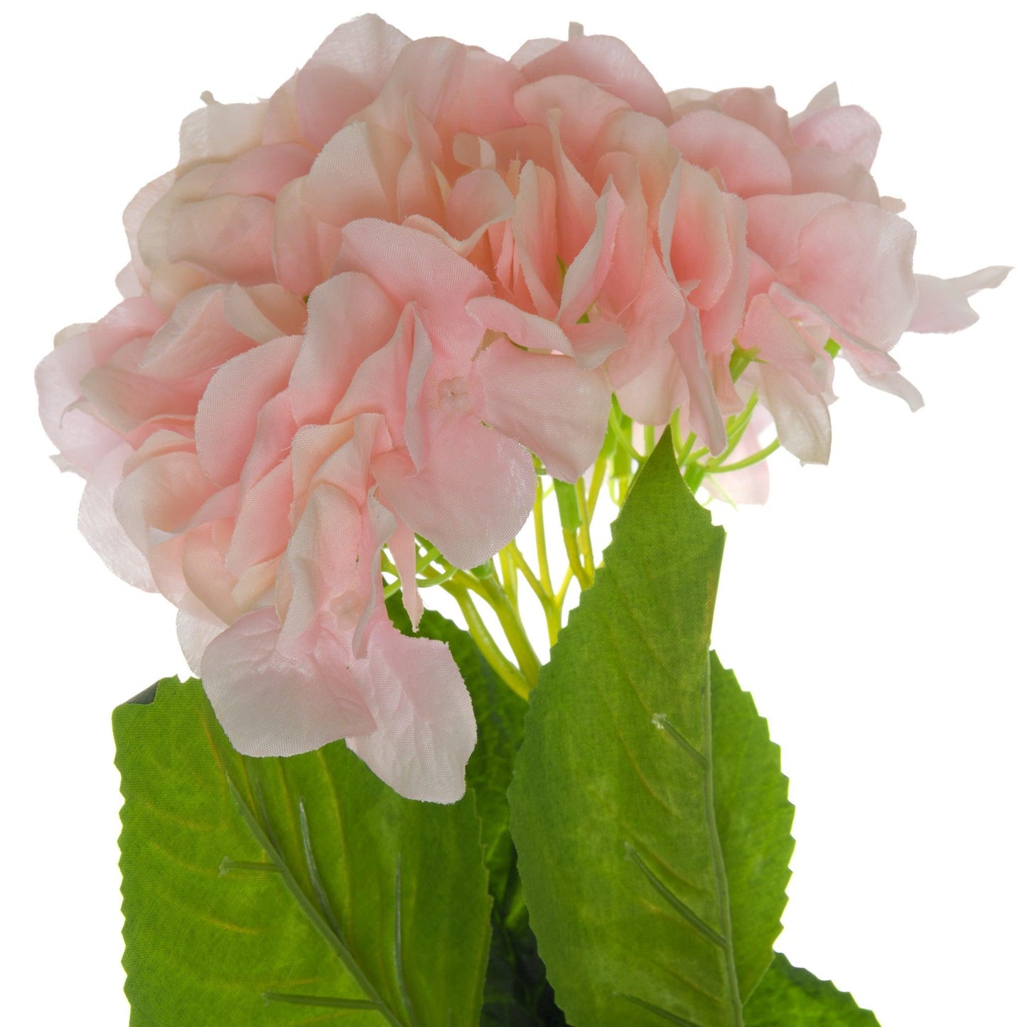 Single Pink Hydrangea - Eudemonia Home Goods
