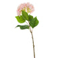 Single Pink Hydrangea - Eudemonia Home Goods
