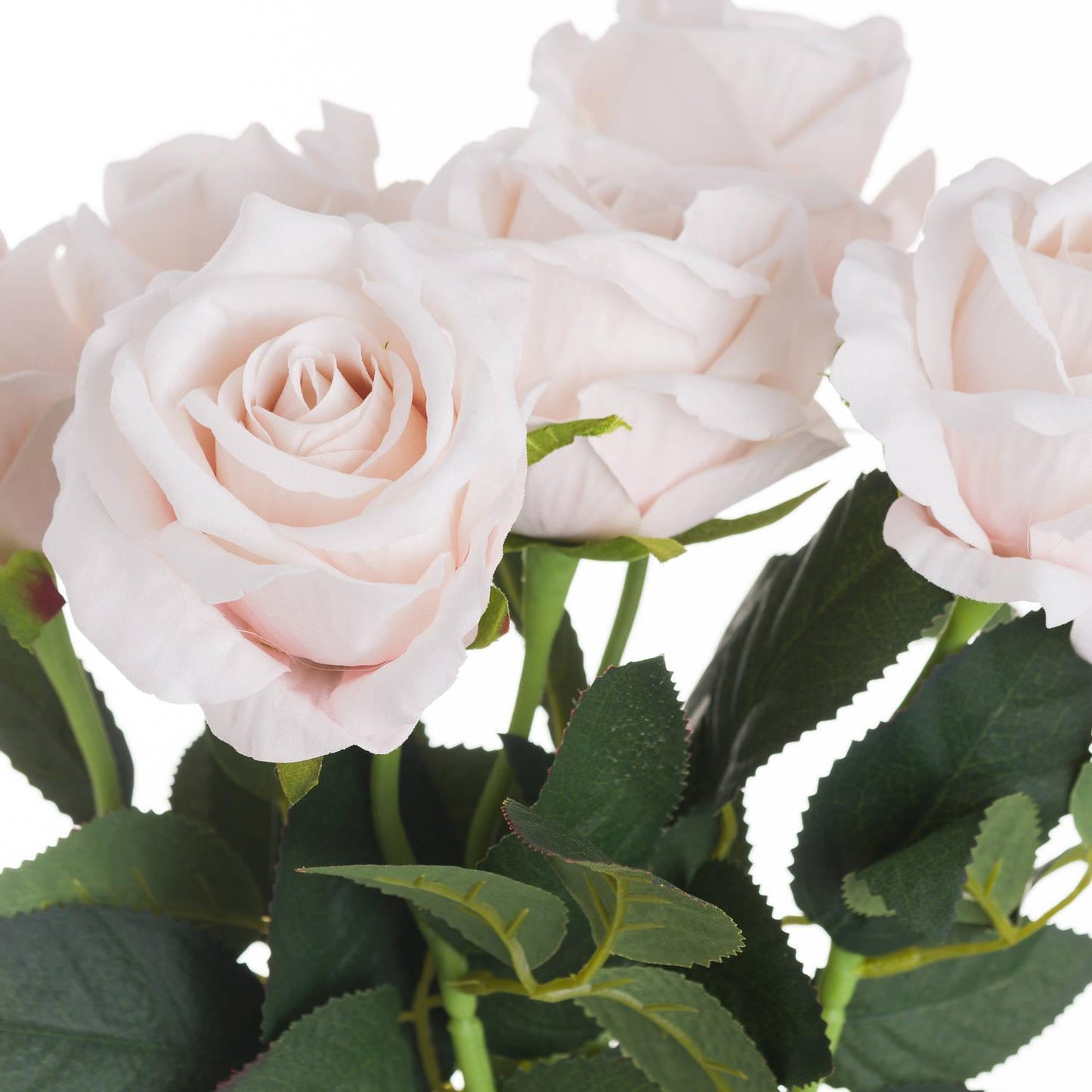 Pink Cream Tea Rose - Eudemonia Home Goods