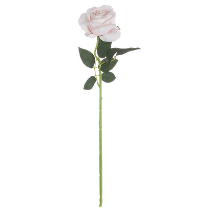 Pink Cream Tea Rose - Eudemonia Home Goods