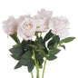 Pink Cream Tea Rose - Eudemonia Home Goods