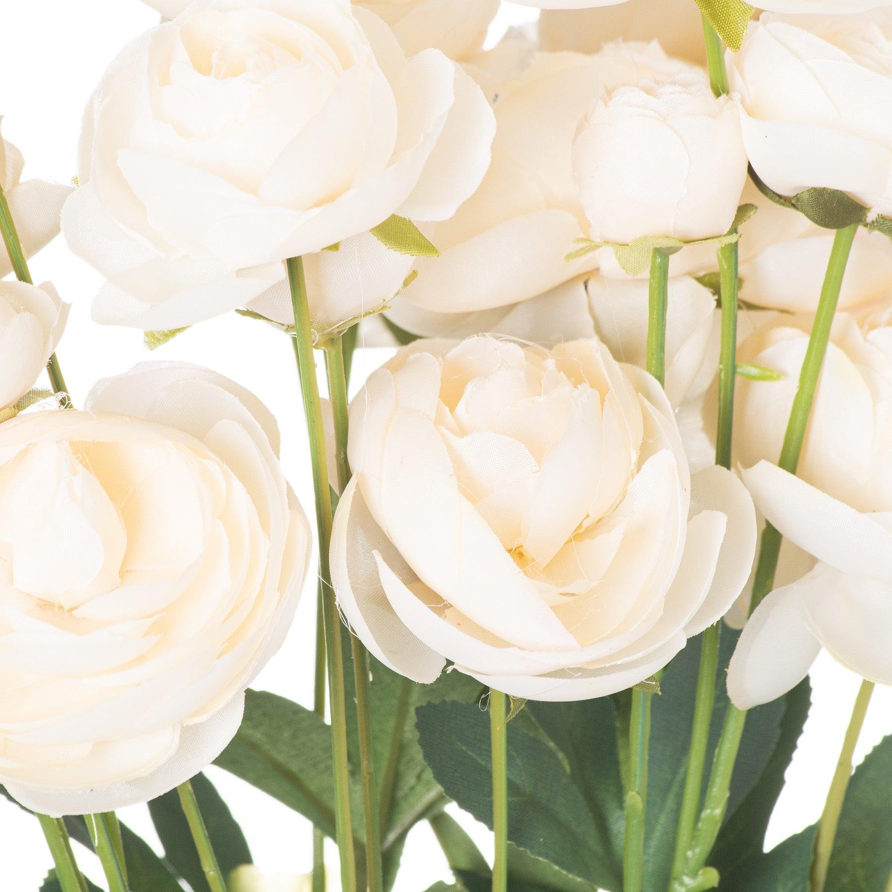 Cream Ranunculus - Eudemonia Home Goods