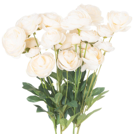 Cream Ranunculus - Eudemonia Home Goods