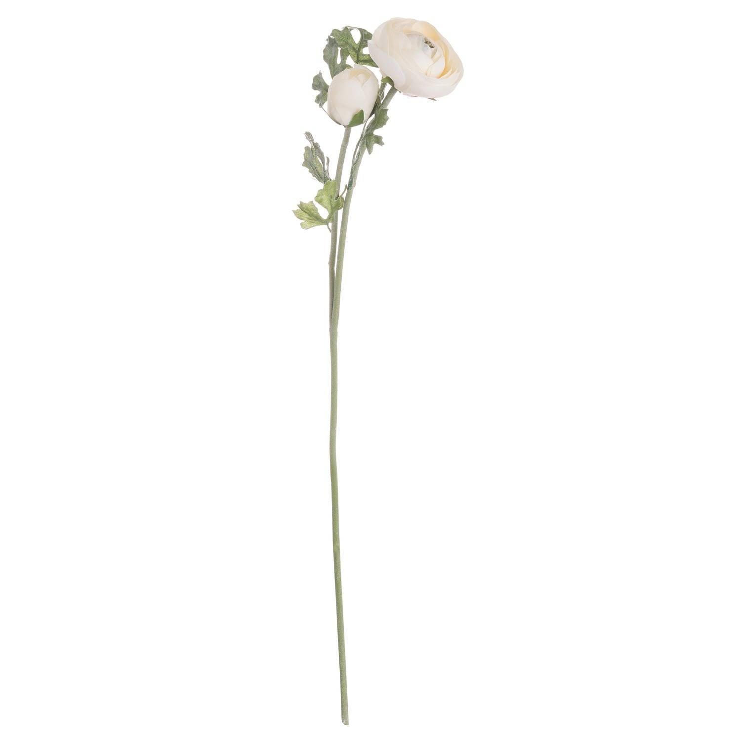 Soft Cream Ranunculus - Eudemonia Home Goods