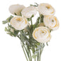 Soft Cream Ranunculus - Eudemonia Home Goods