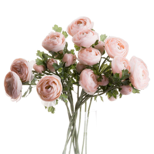 Pastel Pink Ranunculus - Eudemonia Home Goods