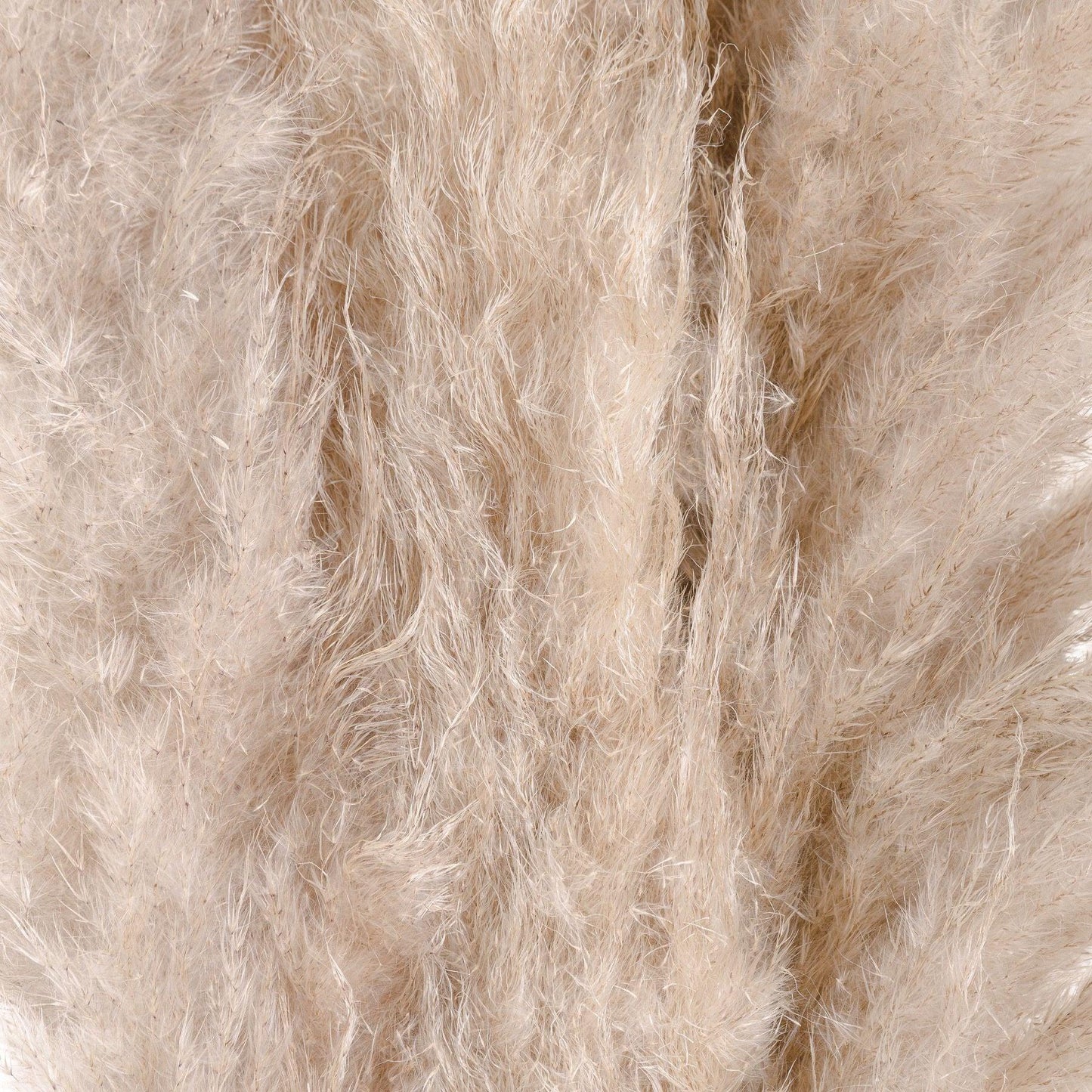 Cream Pampas grass - Eudemonia Home Goods