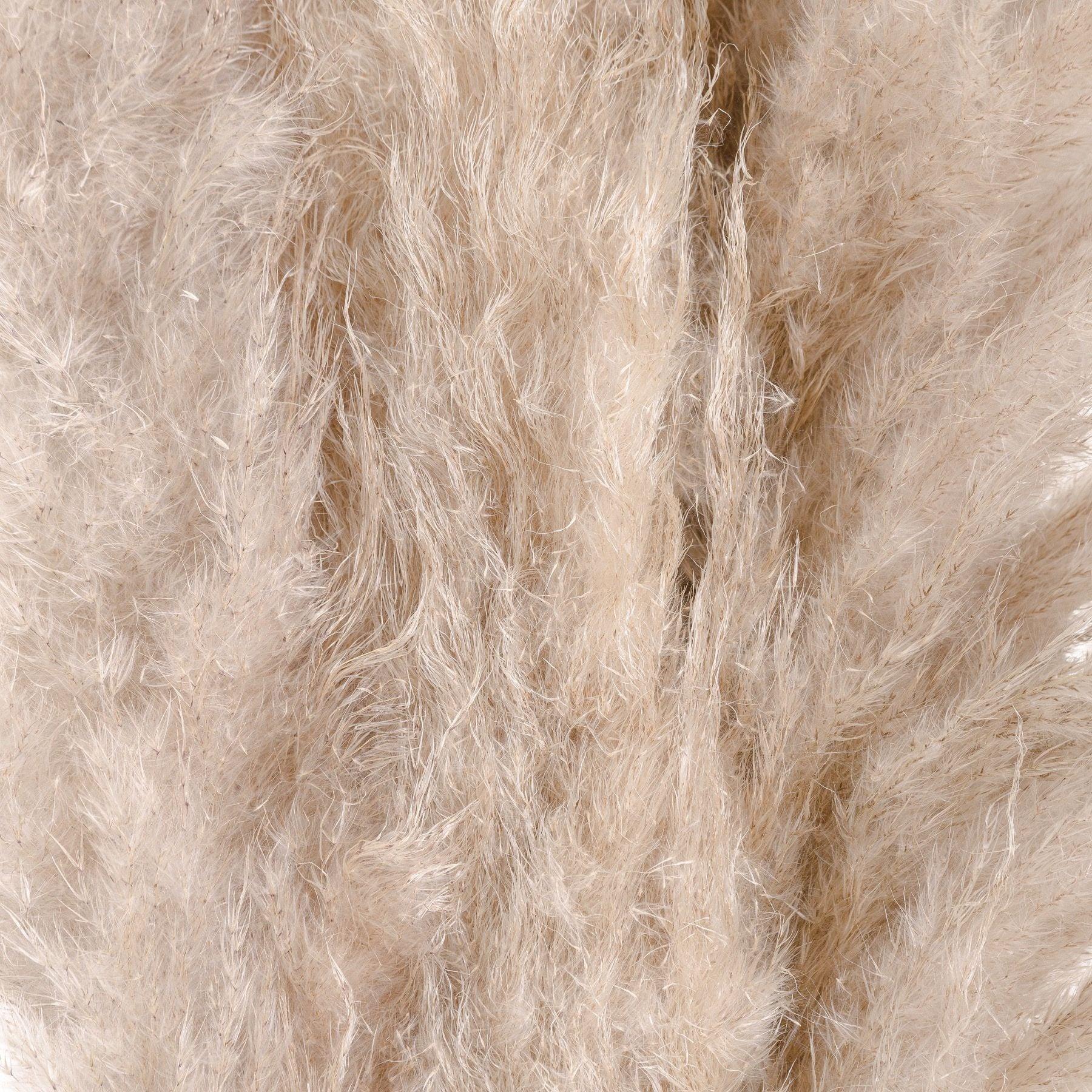 Cream Pampas grass - Eudemonia Home Goods