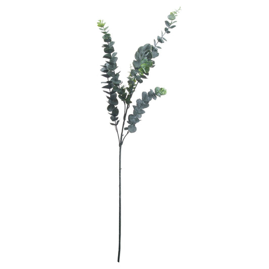 Silver Dollar Eucalyptus - Eudemonia Home Goods