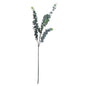 Silver Dollar Eucalyptus - Eudemonia Home Goods