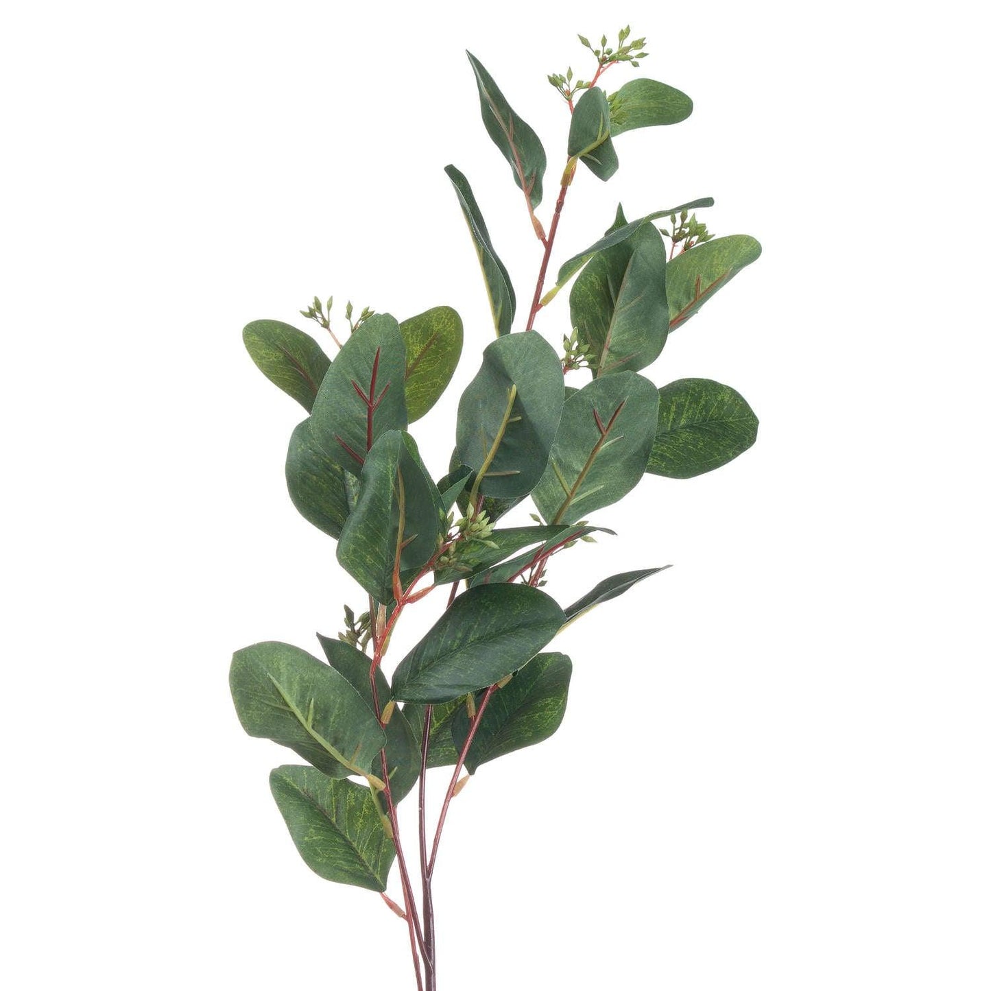 Summer Seeded Eucalyptus - Eudemonia Home Goods