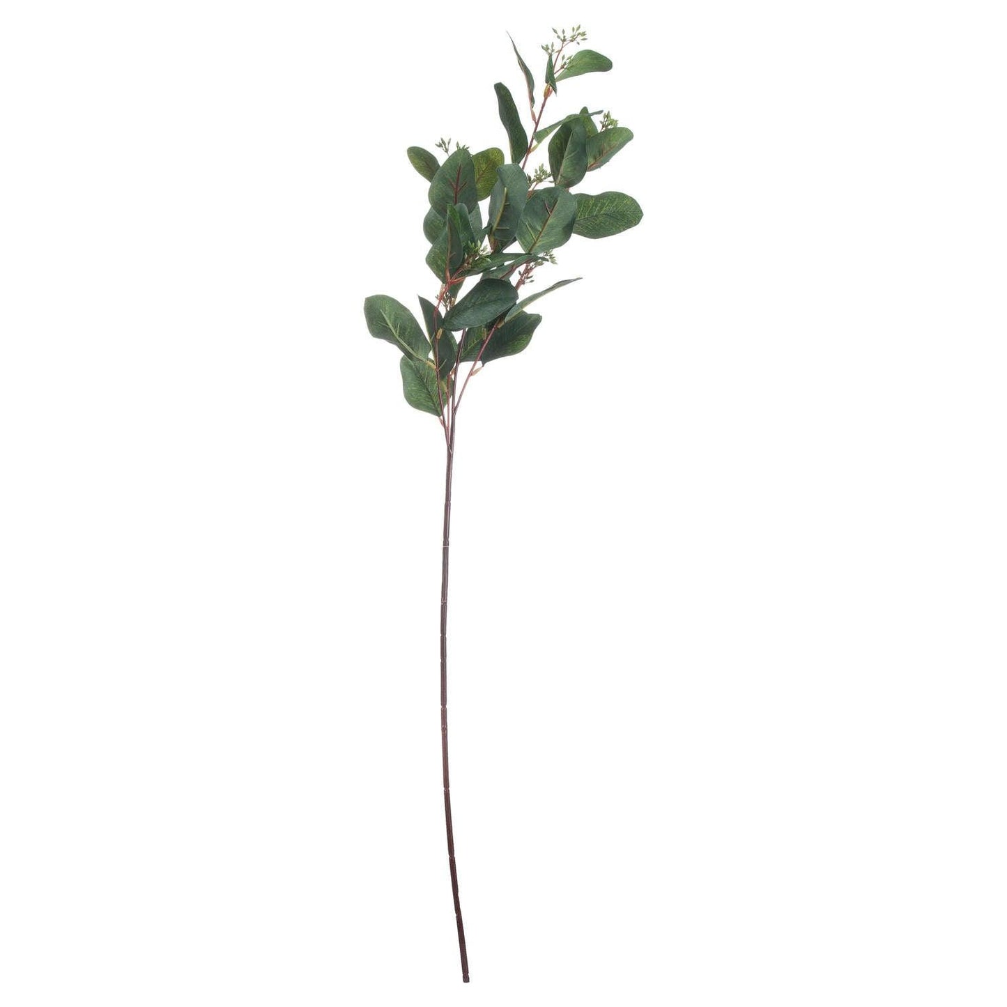 Summer Seeded Eucalyptus - Eudemonia Home Goods