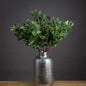 Summer Seeded Eucalyptus - Eudemonia Home Goods