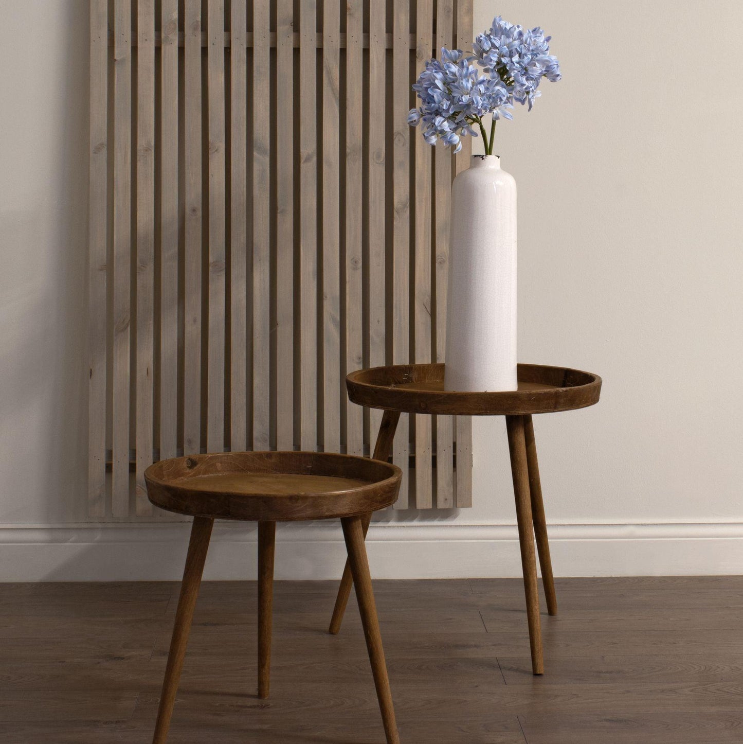 Light Blue Large Headed Agapanthus - Eudemonia Home Goods