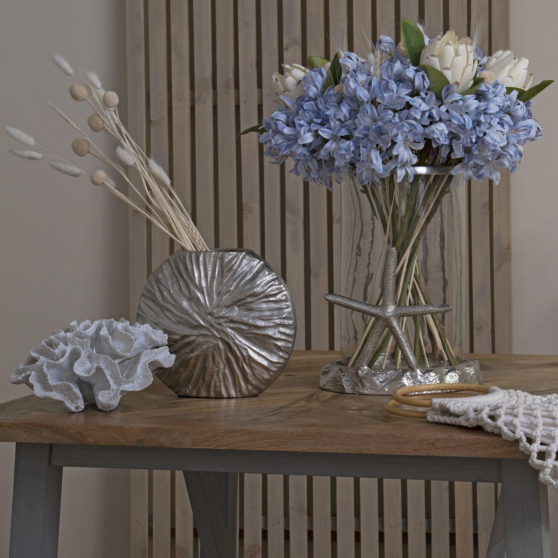 Light Blue Large Headed Agapanthus - Eudemonia Home Goods