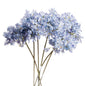 Light Blue Large Headed Agapanthus - Eudemonia Home Goods