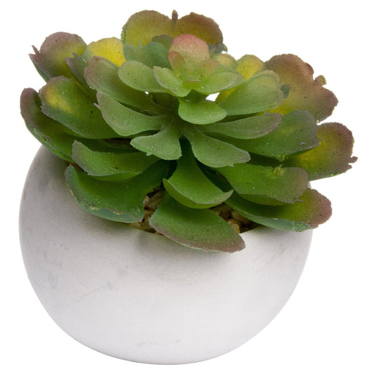 Miniature Lola Succulent In Cement Pot - Eudemonia Home Goods