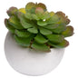 Miniature Lola Succulent In Cement Pot - Eudemonia Home Goods